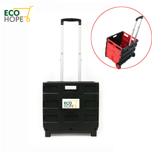 ����ȩ ���̽� ����īƮ